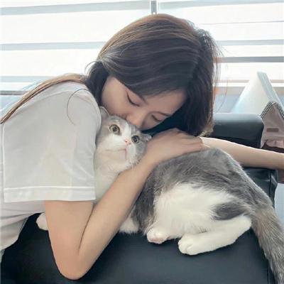 和歌子酒 第4季